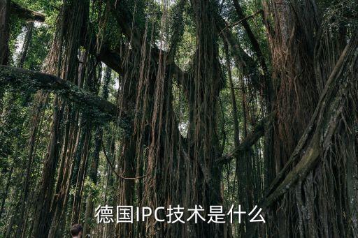 請(qǐng)問誰知道德國ipc金融公司