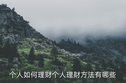 個人投資方法,個人可以投資什么