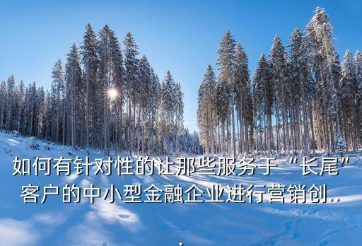 如何有針對性的讓那些服務(wù)于“長尾”客戶的中小型金融企業(yè)進行營銷創(chuàng)...