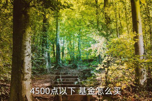 4500點以下 基金怎么買