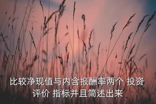 比較凈現(xiàn)值與內(nèi)含報(bào)酬率兩個(gè) 投資 評(píng)價(jià) 指標(biāo)并且簡(jiǎn)述出來