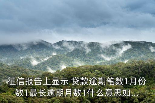 征信報告上顯示 貸款逾期筆數(shù)1月份數(shù)1最長逾期月數(shù)1什么意思如...