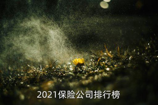 2021保險(xiǎn)公司排行榜