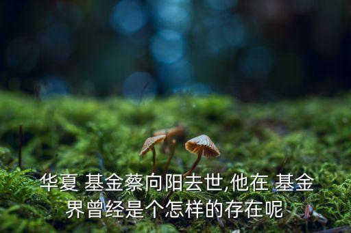  華夏 基金蔡向陽去世,他在 基金界曾經(jīng)是個怎樣的存在呢