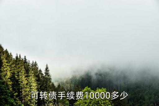 可轉(zhuǎn)債手續(xù)費10000多少