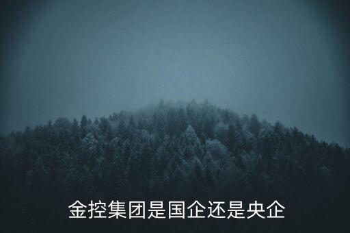 啟迪金控投資有限公司,廣東啟迪科技發(fā)展投資集團有限公司