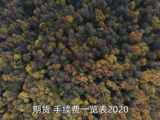  期貨 手續(xù)費一覽表2020