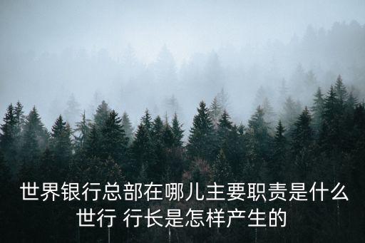  世界銀行總部在哪兒主要職責(zé)是什么世行 行長是怎樣產(chǎn)生的