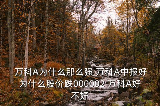  萬科A為什么那么強(qiáng) 萬科A中報好為什么股價跌000002 萬科A好不好