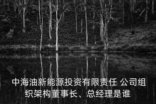  中海油新能源投資有限責(zé)任 公司組織架構(gòu)董事長、總經(jīng)理是誰