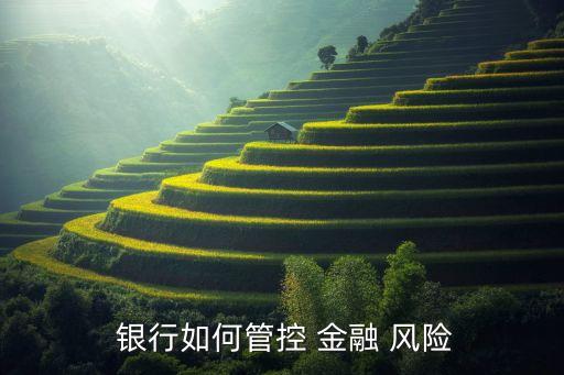 銀行防范金融風(fēng)險