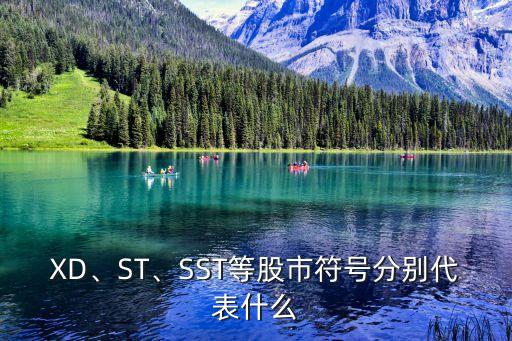 XD、ST、SST等股市符號分別代表什么