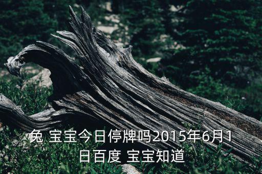 兔寶寶股票歷史新高,一只股票創(chuàng)了歷史新高后會怎樣