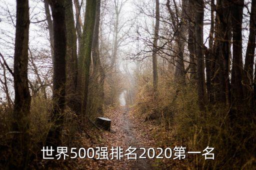 世界500強排名2020第一名