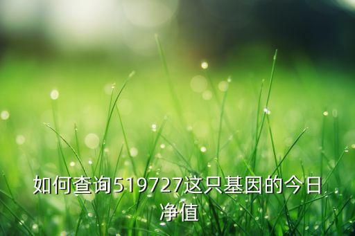 如何查詢519727這只基因的今日 凈值