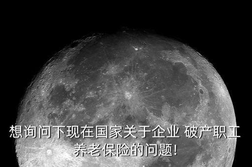 想詢問下現(xiàn)在國家關于企業(yè) 破產(chǎn)職工養(yǎng)老保險的問題!