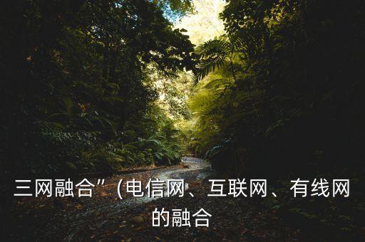 三網(wǎng)融合”(電信網(wǎng)、互聯(lián)網(wǎng)、有線網(wǎng)的融合