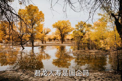 君龍人壽保險(xiǎn)有限公司青島分公司,廈門(mén)君龍人壽保險(xiǎn)有限公司