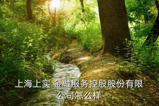  上海上實 金融服務(wù)控股股份有限 公司怎么樣