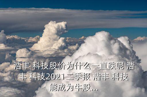  浩豐 科技股價為什么一直跌呢 浩豐 科技2021二季報 浩豐 科技能成為牛股...