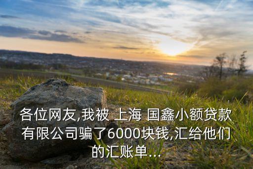 各位網(wǎng)友,我被 上海 國鑫小額貸款有限公司騙了6000塊錢,匯給他們的匯賬單...