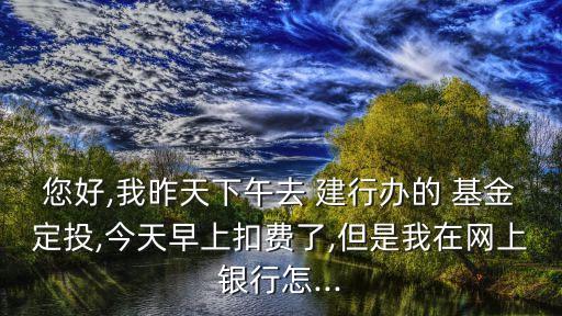 您好,我昨天下午去 建行辦的 基金定投,今天早上扣費(fèi)了,但是我在網(wǎng)上銀行怎...