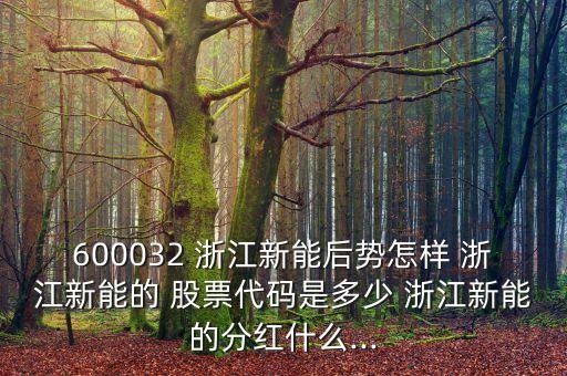 600032 浙江新能后勢(shì)怎樣 浙江新能的 股票代碼是多少 浙江新能的分紅什么...