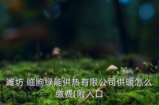 濰坊 臨朐綠能供熱有限公司供暖怎么繳費(附入口