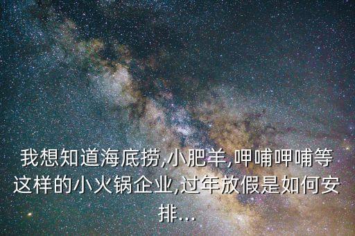 我想知道海底撈,小肥羊,呷哺呷哺等這樣的小火鍋企業(yè),過年放假是如何安排...