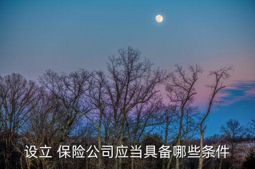 怎樣成立保險(xiǎn)公司,成立保險(xiǎn)公司最低注冊(cè)資本