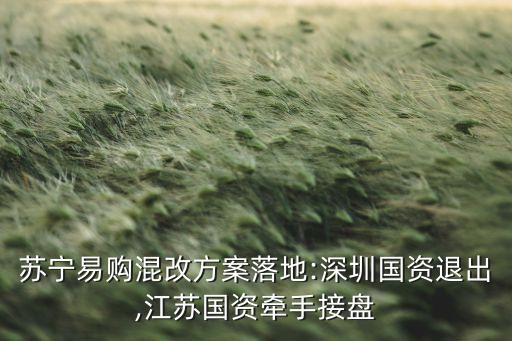 上海高和資本,高和資本董事長(zhǎng)蘇鑫