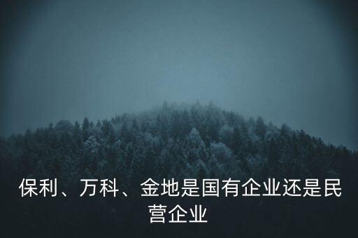  保利、萬科、金地是國有企業(yè)還是民營企業(yè)