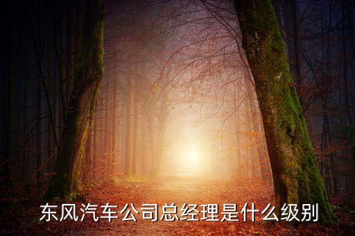 東風(fēng)集團(tuán)是央企嗎,永不倒閉的10大央企