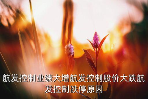 江蘇南方軸承股份有限公司網(wǎng)址,江蘇萬達特種軸承股份有限公司