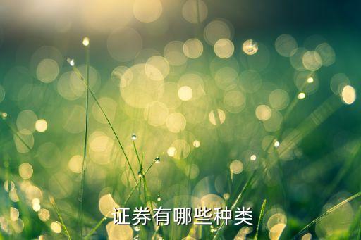 公司可以是什么證券發(fā)行主體,以下不是證券發(fā)行主體的是什么