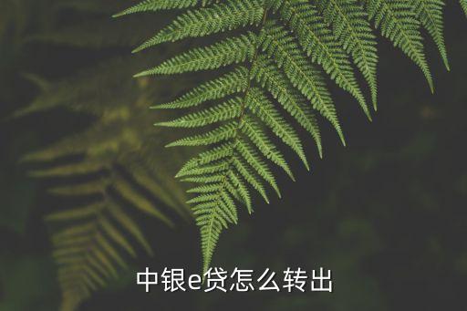 中銀e貸怎么轉(zhuǎn)出