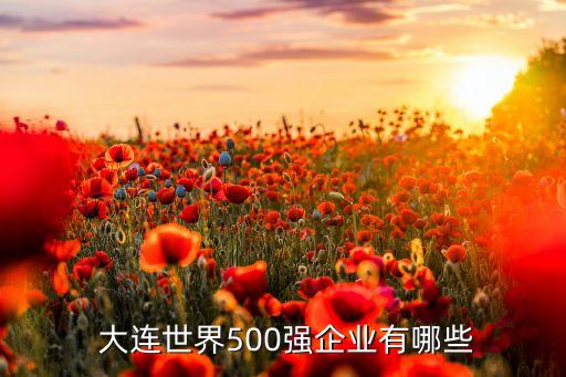  大連世界500強(qiáng)企業(yè)有哪些