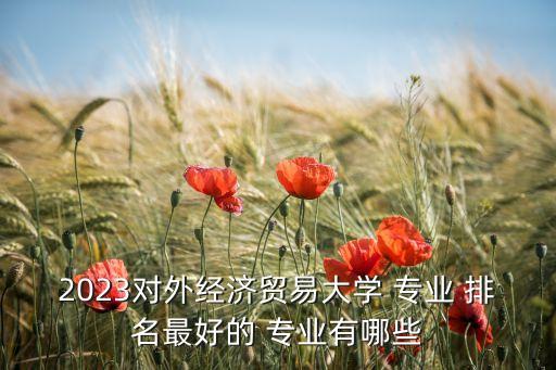 2023對外經(jīng)濟貿(mào)易大學 專業(yè) 排名最好的 專業(yè)有哪些