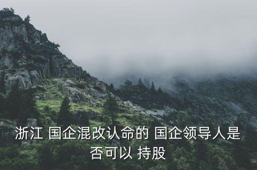 浙江 國企混改認(rèn)命的 國企領(lǐng)導(dǎo)人是否可以 持股