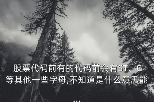  股票代碼前有的代碼前會(huì)有ST、G等其他一些字母,不知道是什么意思能...