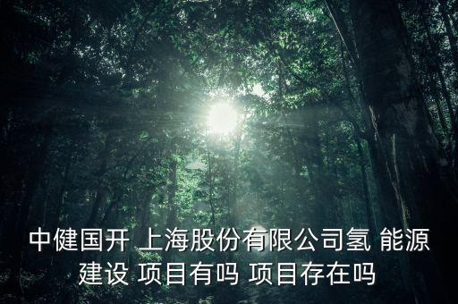 中健國開 上海股份有限公司氫 能源建設 項目有嗎 項目存在嗎