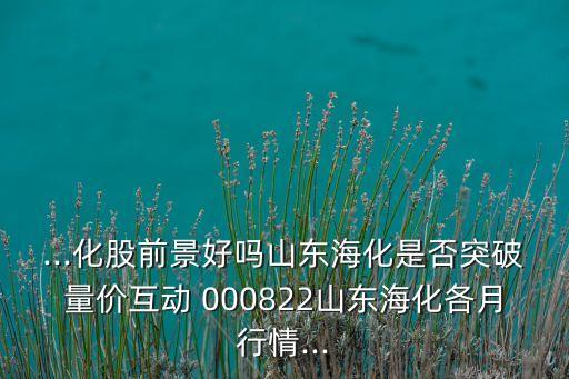 ...化股前景好嗎山東?；欠裢黄屏?jī)r(jià)互動(dòng) 000822山東海化各月行情...