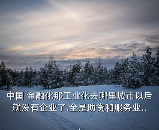 中國(guó) 金融化那工業(yè)化去哪里城市以后就沒(méi)有企業(yè)了,全是助貸和服務(wù)業(yè)...