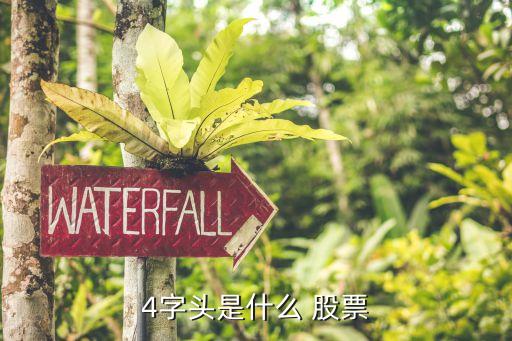 4開(kāi)頭的股票怎么買,00開(kāi)頭的股票怎么買不了