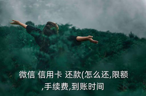  微信 信用卡 還款(怎么還,限額,手續(xù)費,到賬時間