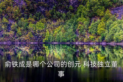 俞鐵成是哪個公司的創(chuàng)元 科技獨(dú)立董事