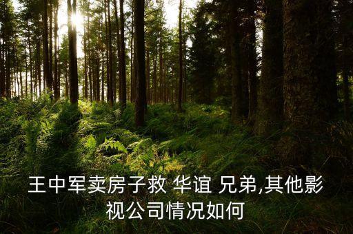 王中軍賣(mài)房子救 華誼 兄弟,其他影視公司情況如何