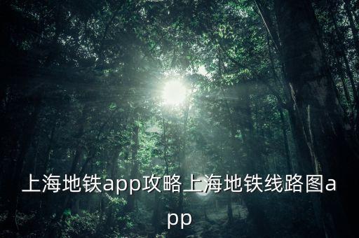 上海地鐵app攻略上海地鐵線路圖app