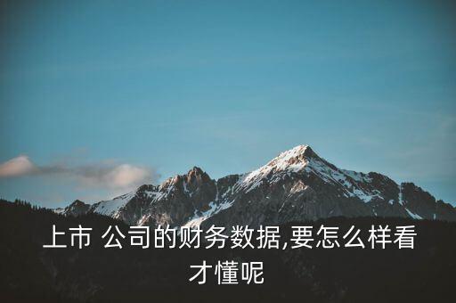  上市 公司的財務(wù)數(shù)據(jù),要怎么樣看才懂呢