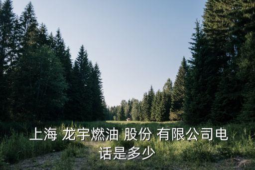  上海 龍宇燃油 股份 有限公司電話是多少